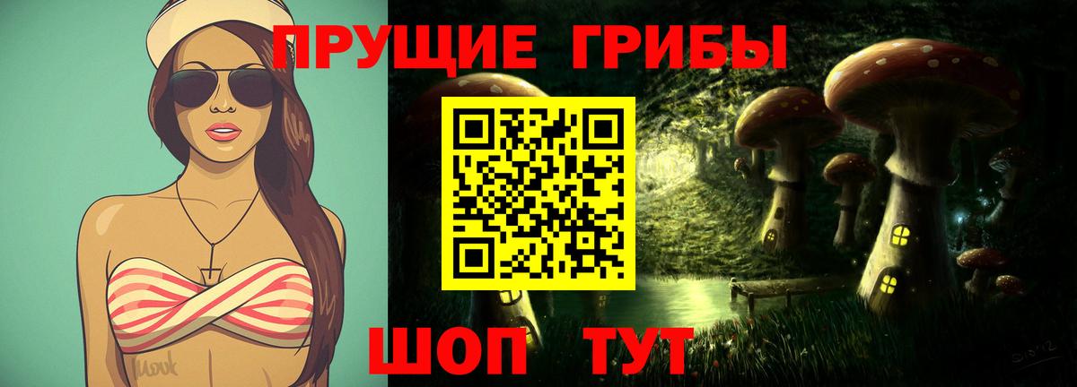 Галлюциногенные грибы GOLDEN TEACHER  Вход с VPN  Чапаевск  Галлюциногенные грибы Psilocybe 